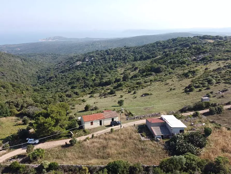 Immagine 5 di Rustico / casale in vendita  a Aglientu