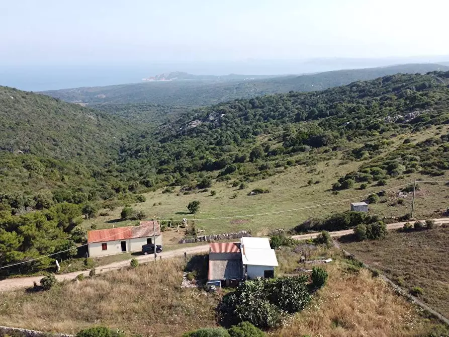 Immagine 6 di Rustico / casale in vendita  a Aglientu