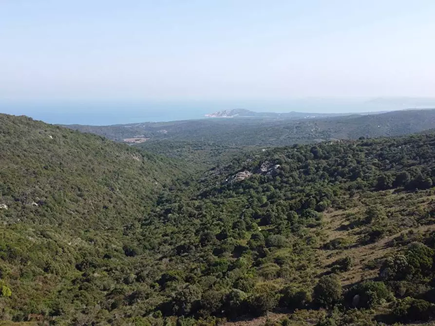 Immagine 7 di Rustico / casale in vendita  a Aglientu