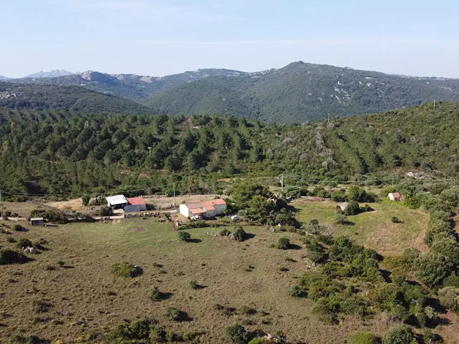 Immagine 8 di Rustico / casale in vendita  a Aglientu