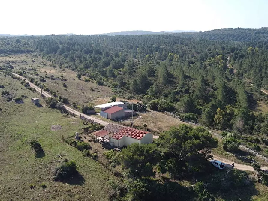 Immagine 9 di Rustico / casale in vendita  a Aglientu