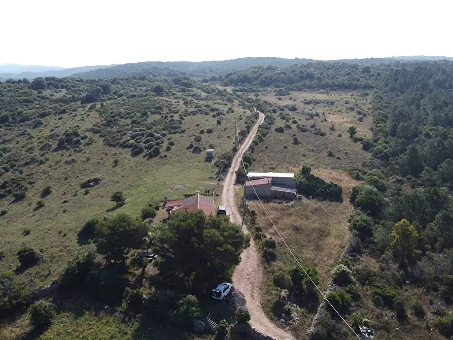 Immagine 10 di Rustico / casale in vendita  a Aglientu