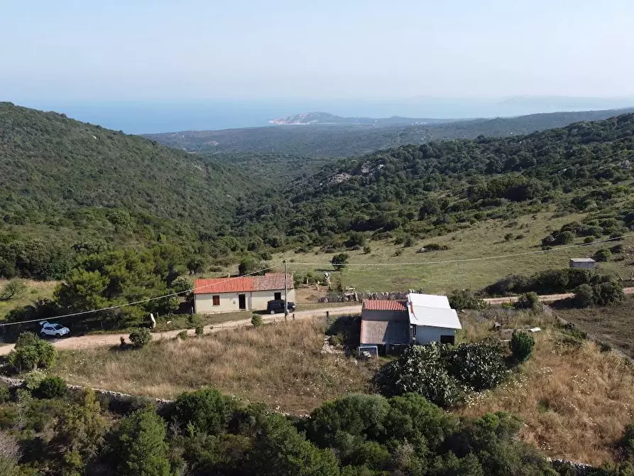 Immagine 11 di Rustico / casale in vendita  a Aglientu