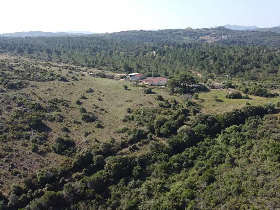 Immagine 12 di Rustico / casale in vendita  a Aglientu