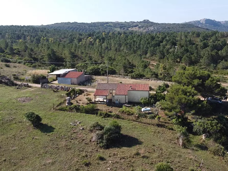 Immagine 13 di Rustico / casale in vendita  a Aglientu