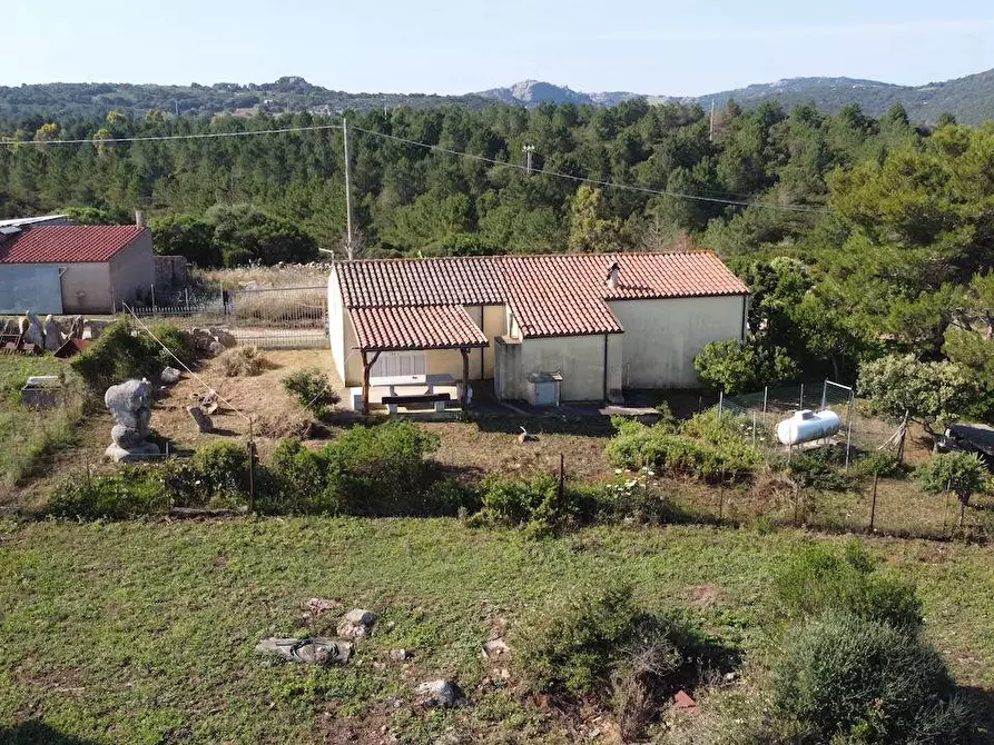 Immagine 14 di Rustico / casale in vendita  a Aglientu