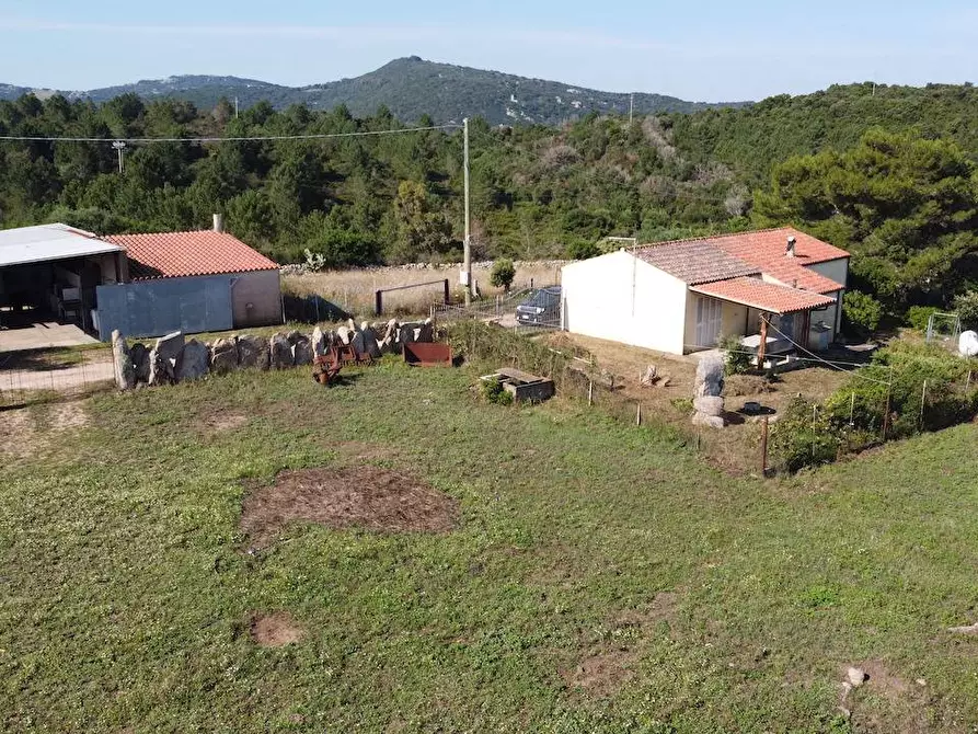 Immagine 15 di Rustico / casale in vendita  a Aglientu