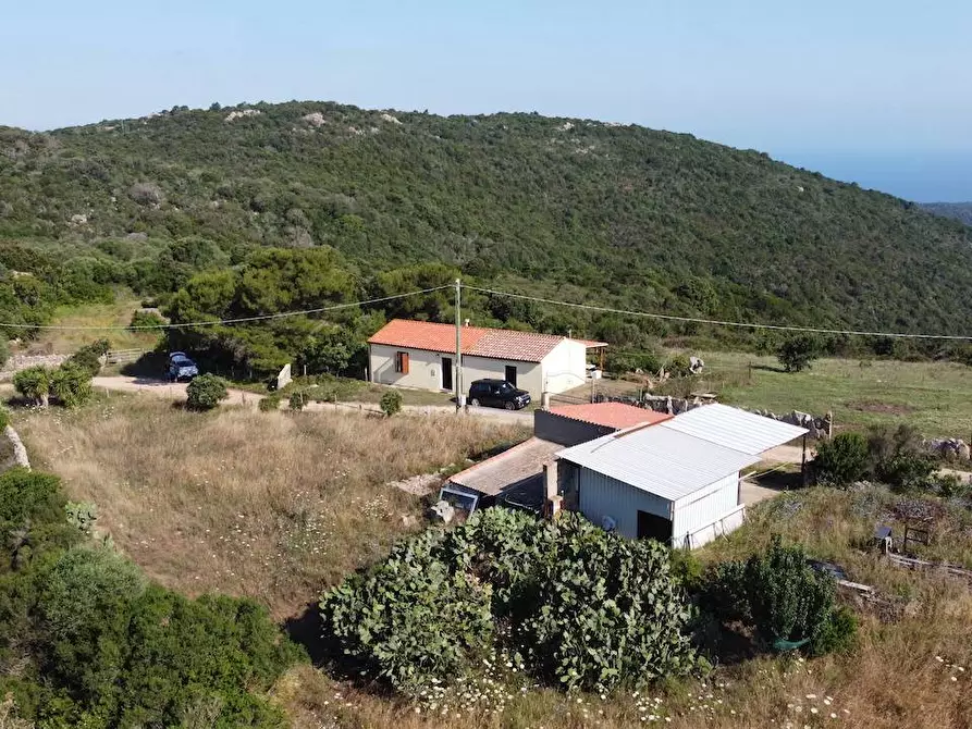 Immagine 16 di Rustico / casale in vendita  a Aglientu