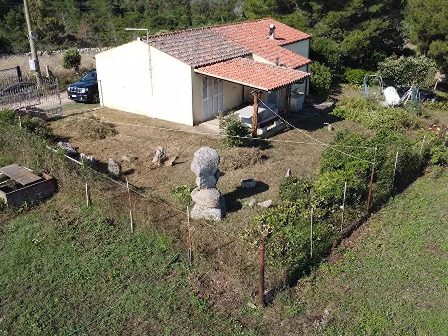 Immagine 17 di Rustico / casale in vendita  a Aglientu