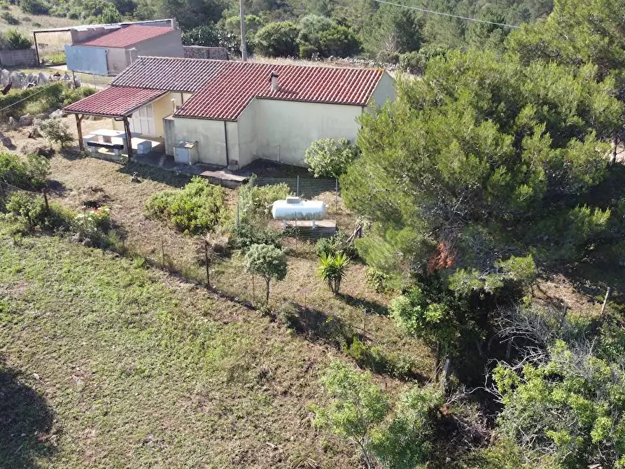 Immagine 18 di Rustico / casale in vendita  a Aglientu