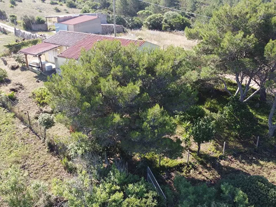 Immagine 19 di Rustico / casale in vendita  a Aglientu