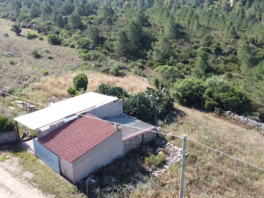 Immagine 20 di Rustico / casale in vendita  a Aglientu