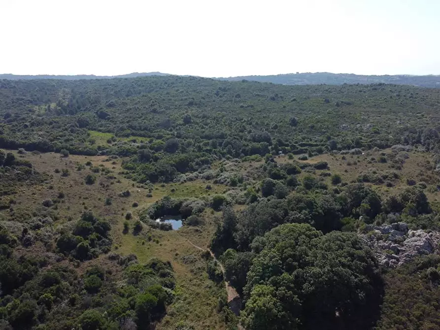 Immagine 21 di Rustico / casale in vendita  a Aglientu