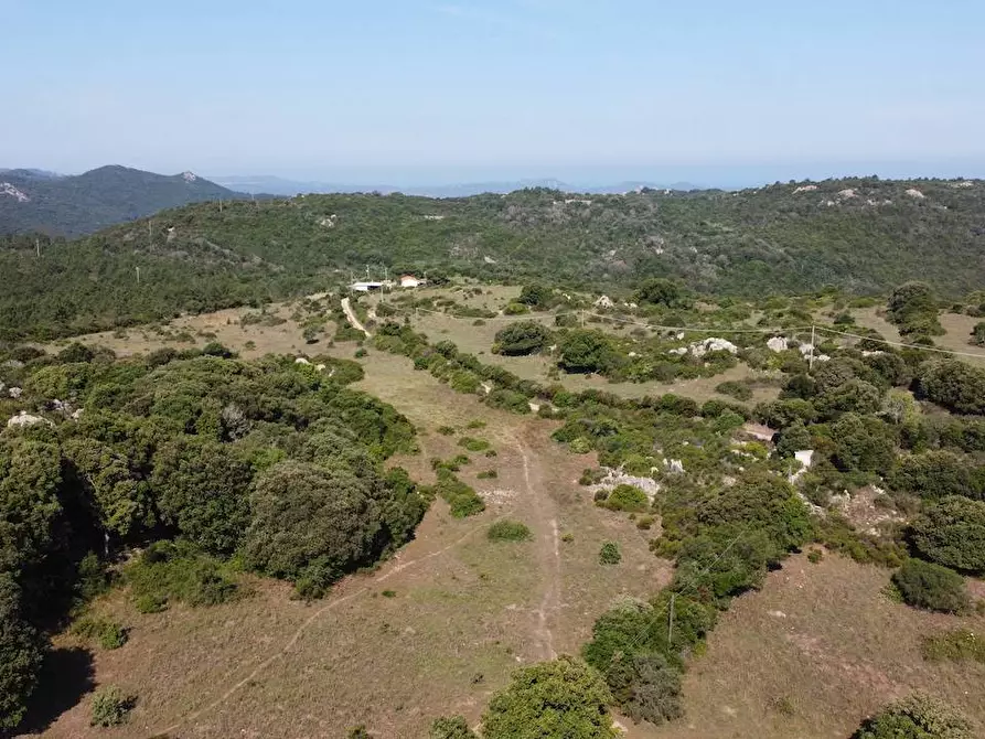 Immagine 22 di Rustico / casale in vendita  a Aglientu