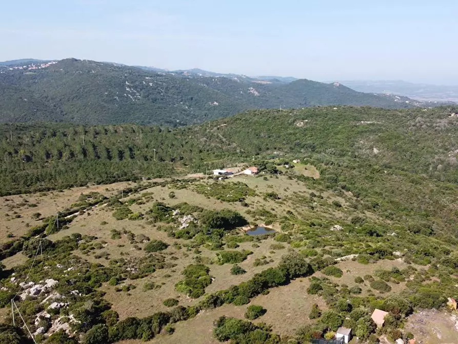 Immagine 23 di Rustico / casale in vendita  a Aglientu