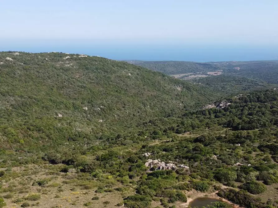 Immagine 24 di Rustico / casale in vendita  a Aglientu