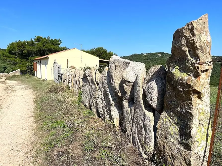 Immagine 27 di Rustico / casale in vendita  a Aglientu