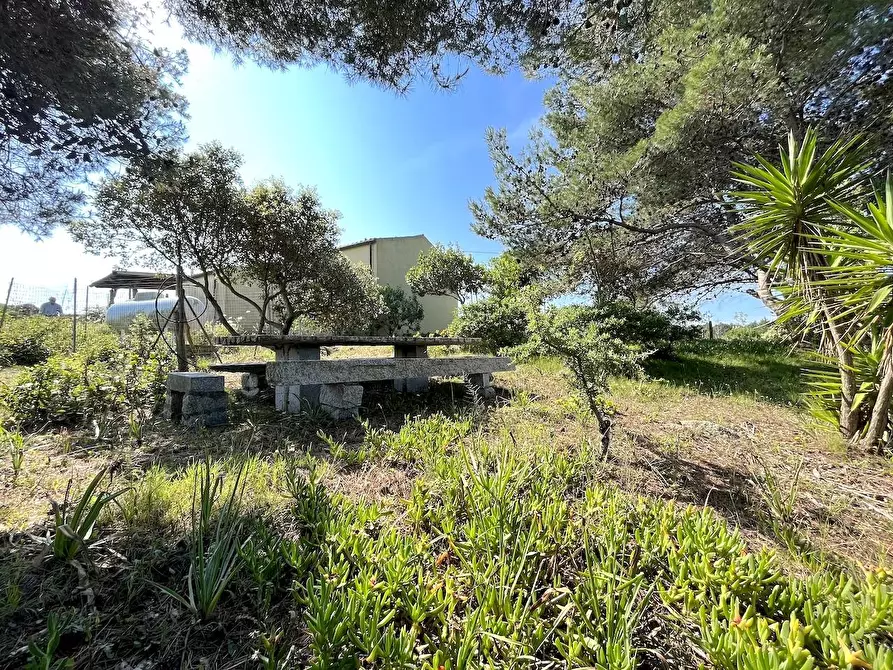 Immagine 29 di Rustico / casale in vendita  a Aglientu