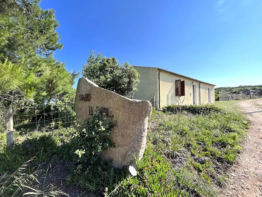 Immagine 30 di Rustico / casale in vendita  a Aglientu