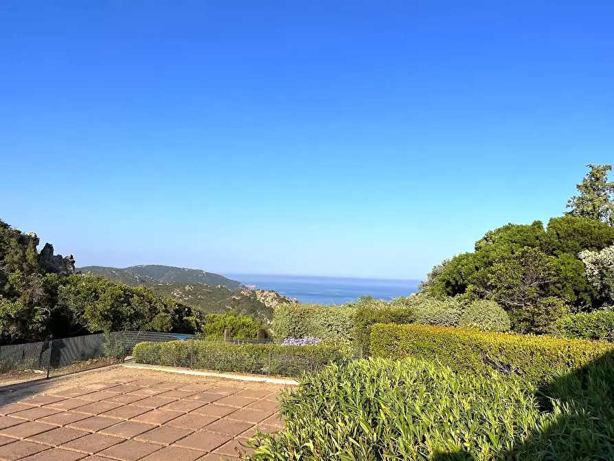 Immagine 29 di Villetta a schiera in vendita  a Trinità D'agultu E Vignola