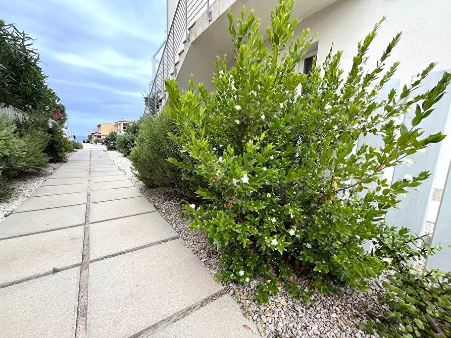 Immagine 28 di Appartamento in vendita  in Loc. Isola Rossa a Trinità D'agultu E Vignola