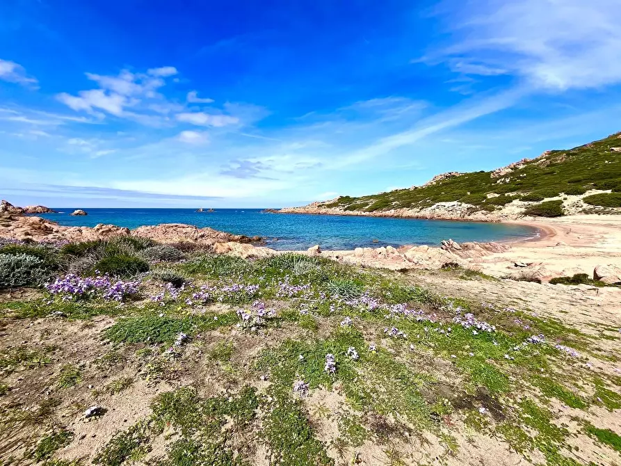 Immagine 29 di Appartamento in vendita  in Loc. Isola Rossa a Trinità D'agultu E Vignola