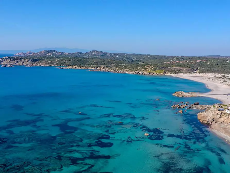 Immagine 26 di Appartamento in vendita  a Trinità D'agultu E Vignola