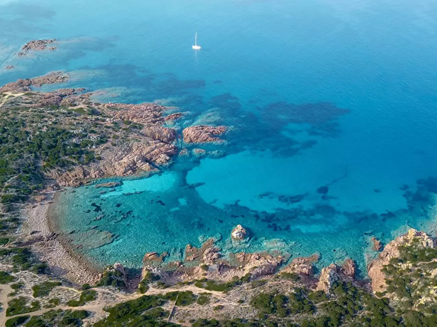 Immagine 26 di Villa in vendita  a Trinità D'agultu E Vignola