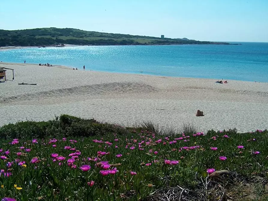 Immagine 25 di Casa bifamiliare in vendita  a Trinità D'agultu E Vignola