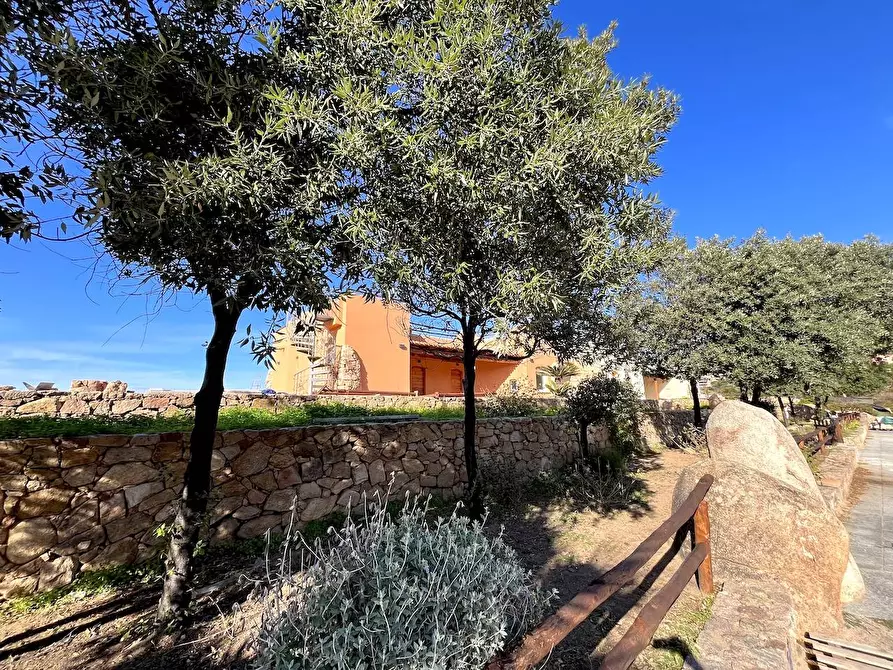 Immagine 4 di Casa indipendente in vendita  a Trinità D'agultu E Vignola