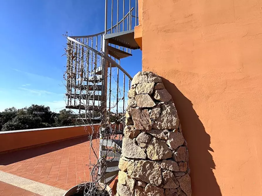 Immagine 8 di Casa indipendente in vendita  a Trinità D'agultu E Vignola