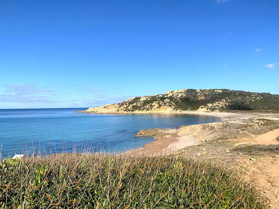 Immagine 21 di Rustico / casale in vendita  a Aglientu