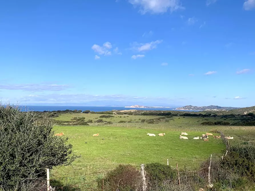 Immagine 22 di Rustico / casale in vendita  a Aglientu