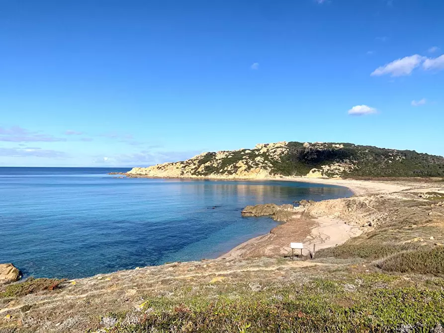 Immagine 23 di Rustico / casale in vendita  a Aglientu