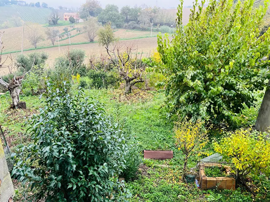 Immagine 30 di Rustico / casale in vendita  in via pozzolungo a Belvedere Ostrense
