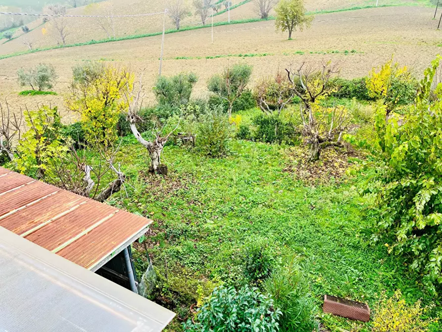 Immagine 5 di Rustico / casale in vendita  in via pozzolungo a Belvedere Ostrense
