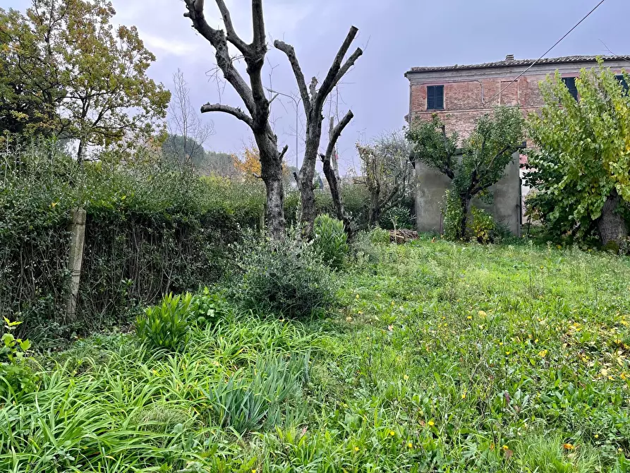 Immagine 4 di Rustico / casale in vendita  in via pozzolungo a Belvedere Ostrense