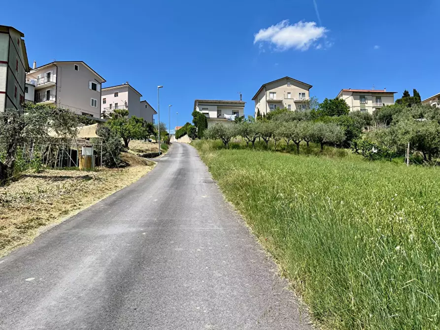 Immagine 3 di Terreno agricolo in vendita  in via valle a Monte San Pietrangeli