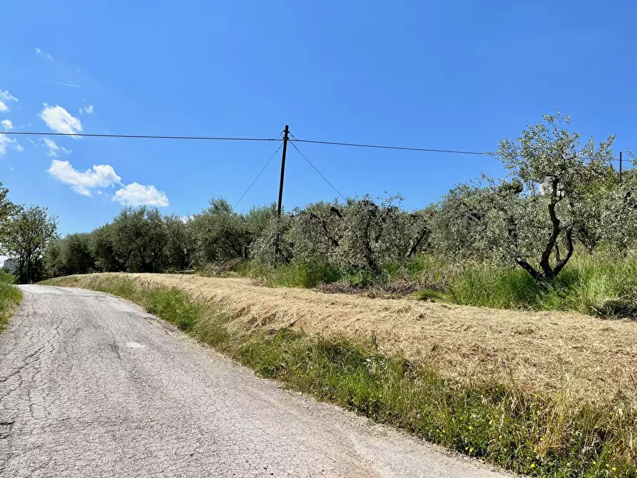 Immagine 4 di Terreno agricolo in vendita  in via valle a Monte San Pietrangeli