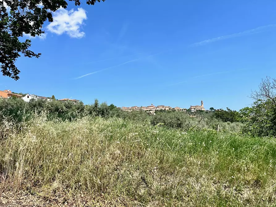 Immagine 6 di Terreno agricolo in vendita  in via valle a Monte San Pietrangeli