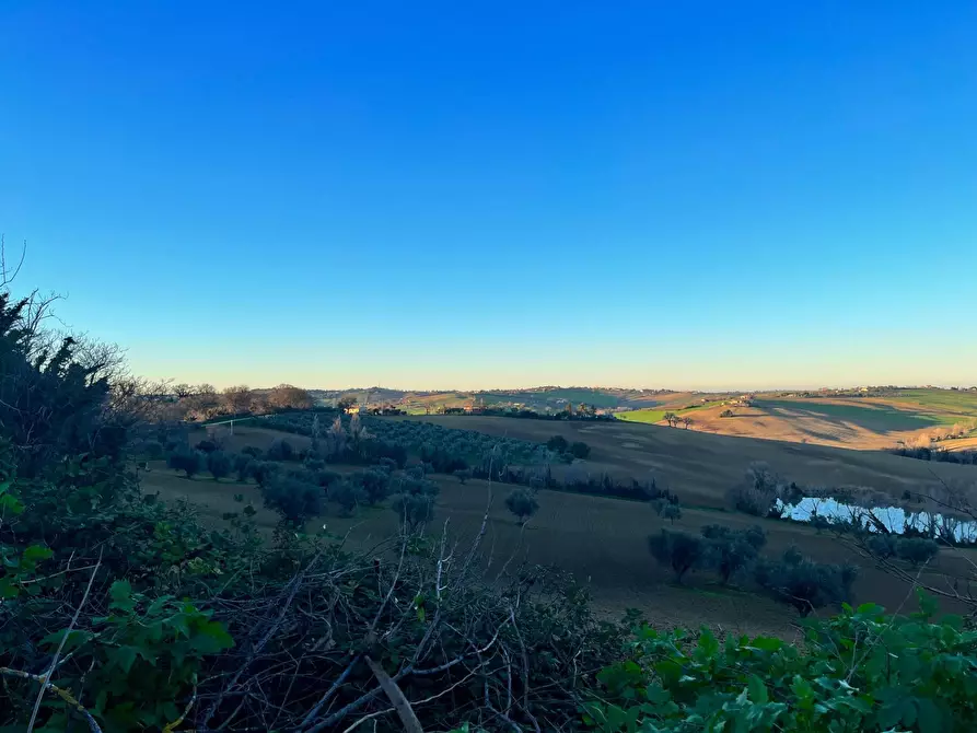 Immagine 7 di Rustico / casale in vendita  in via Malviano a Monte San Vito