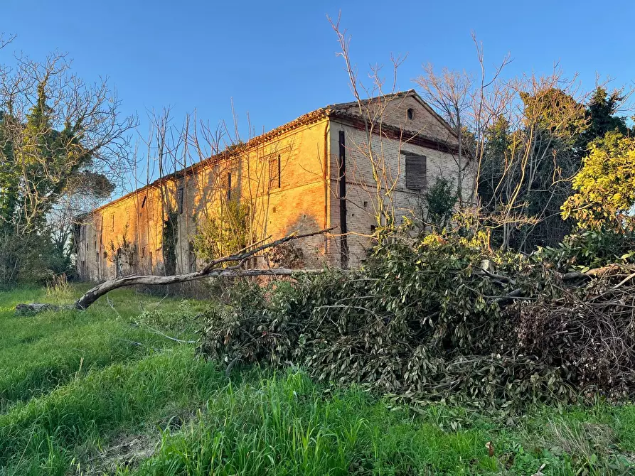 Immagine 1 di Rustico / casale in vendita  in via Malviano a Monte San Vito