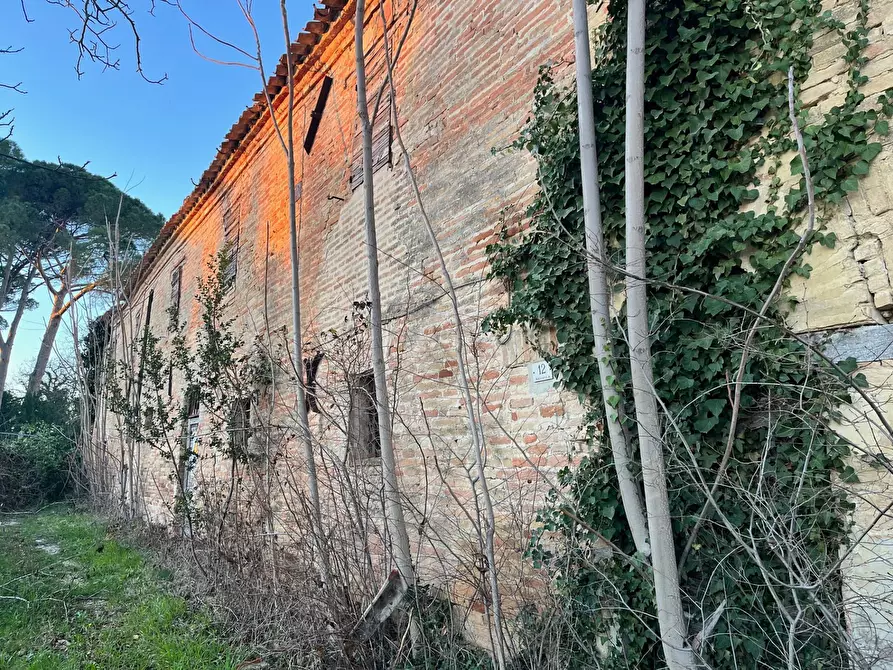 Immagine 2 di Rustico / casale in vendita  in via Malviano a Monte San Vito