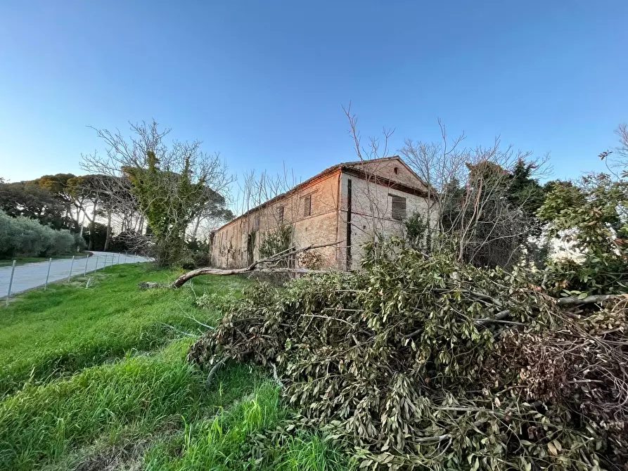 Immagine 10 di Rustico / casale in vendita  in via Malviano a Monte San Vito