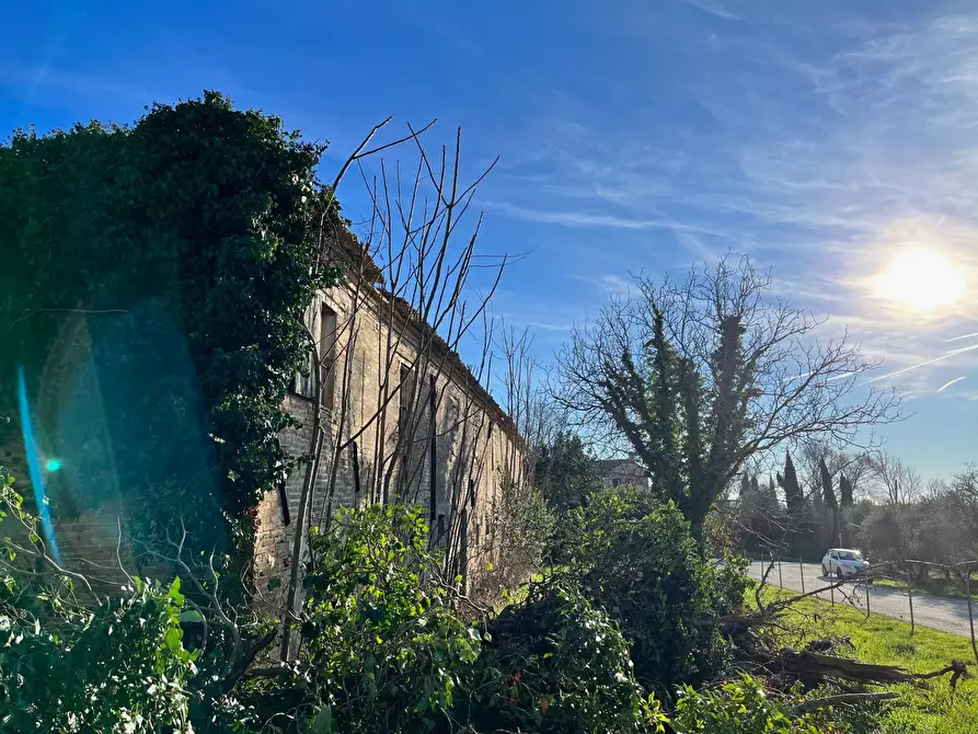 Immagine 12 di Rustico / casale in vendita  in via Malviano a Monte San Vito