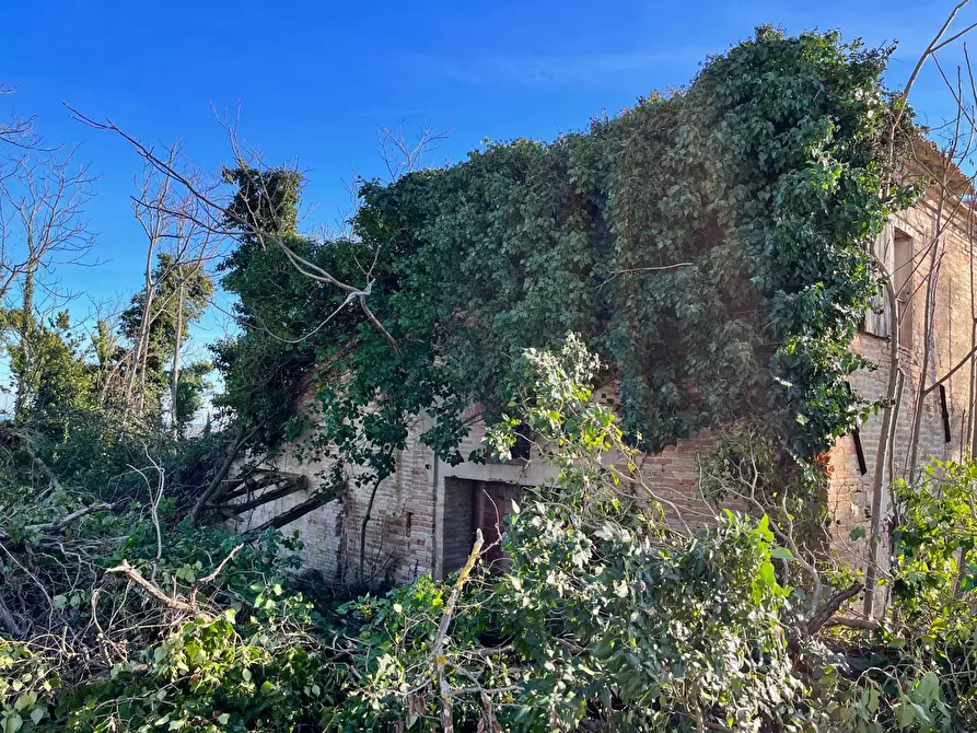 Immagine 13 di Rustico / casale in vendita  in via Malviano a Monte San Vito