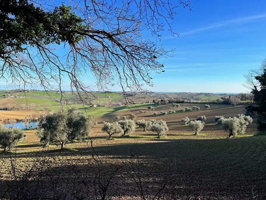 Immagine 15 di Rustico / casale in vendita  in via Malviano a Monte San Vito