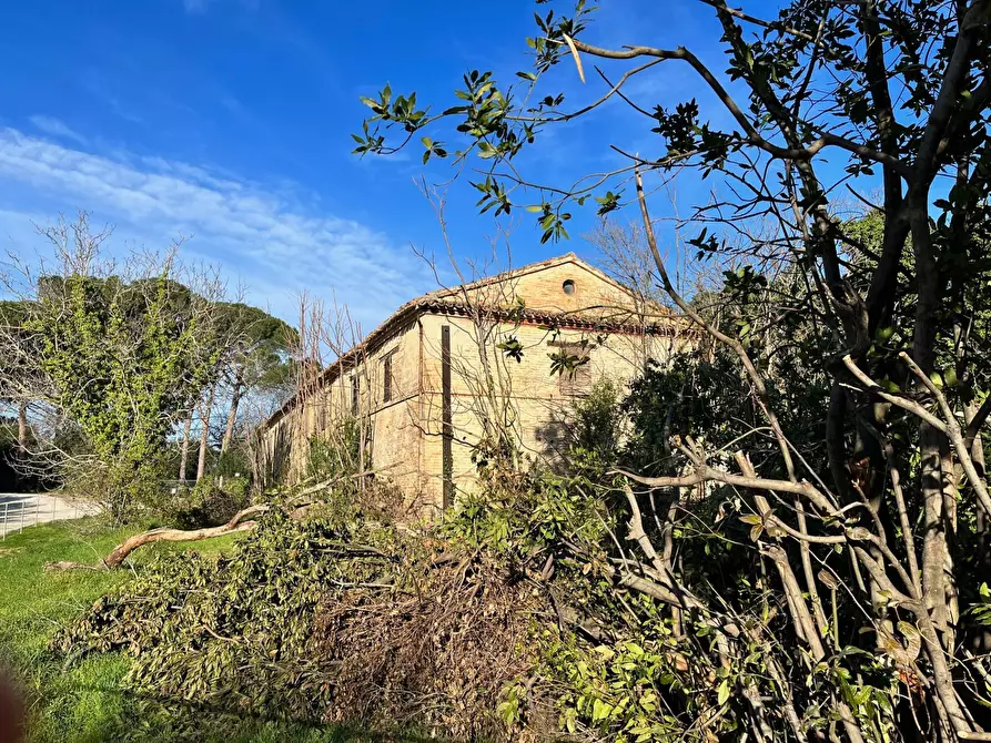 Immagine 17 di Rustico / casale in vendita  in via Malviano a Monte San Vito