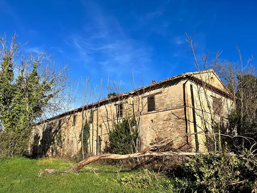 Immagine 18 di Rustico / casale in vendita  in via Malviano a Monte San Vito