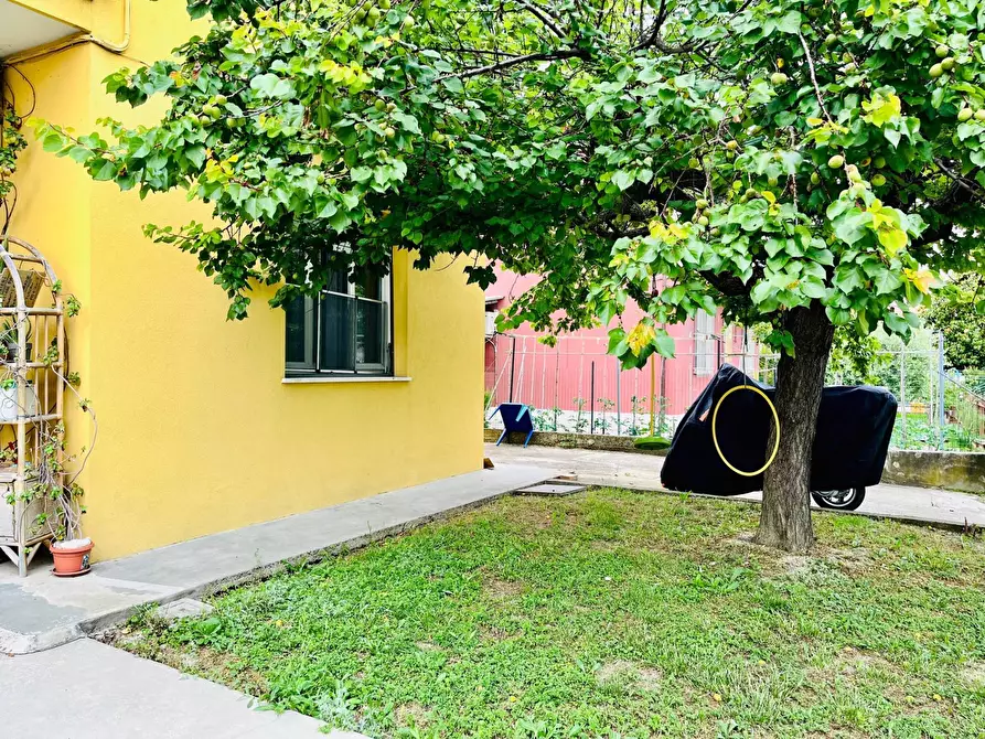 Immagine 17 di Appartamento in vendita  in Via Gian Battista Vico a Senigallia